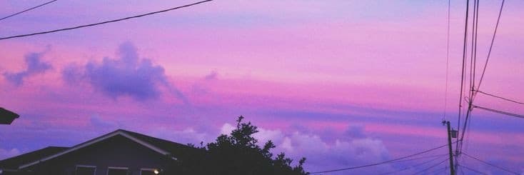 Chiqui P. banner image