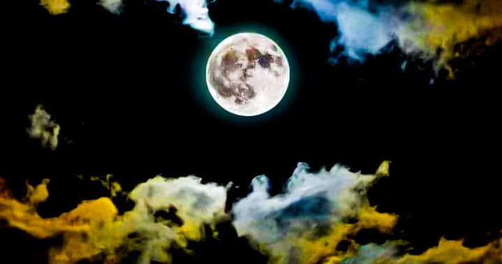 u85841762 banner image