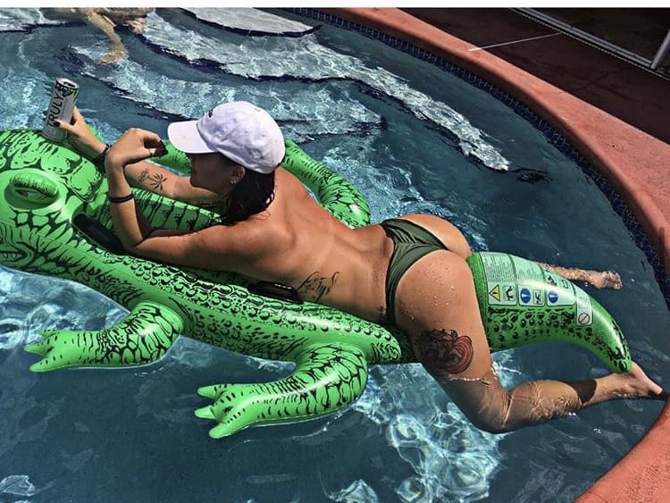 Alligator banner image