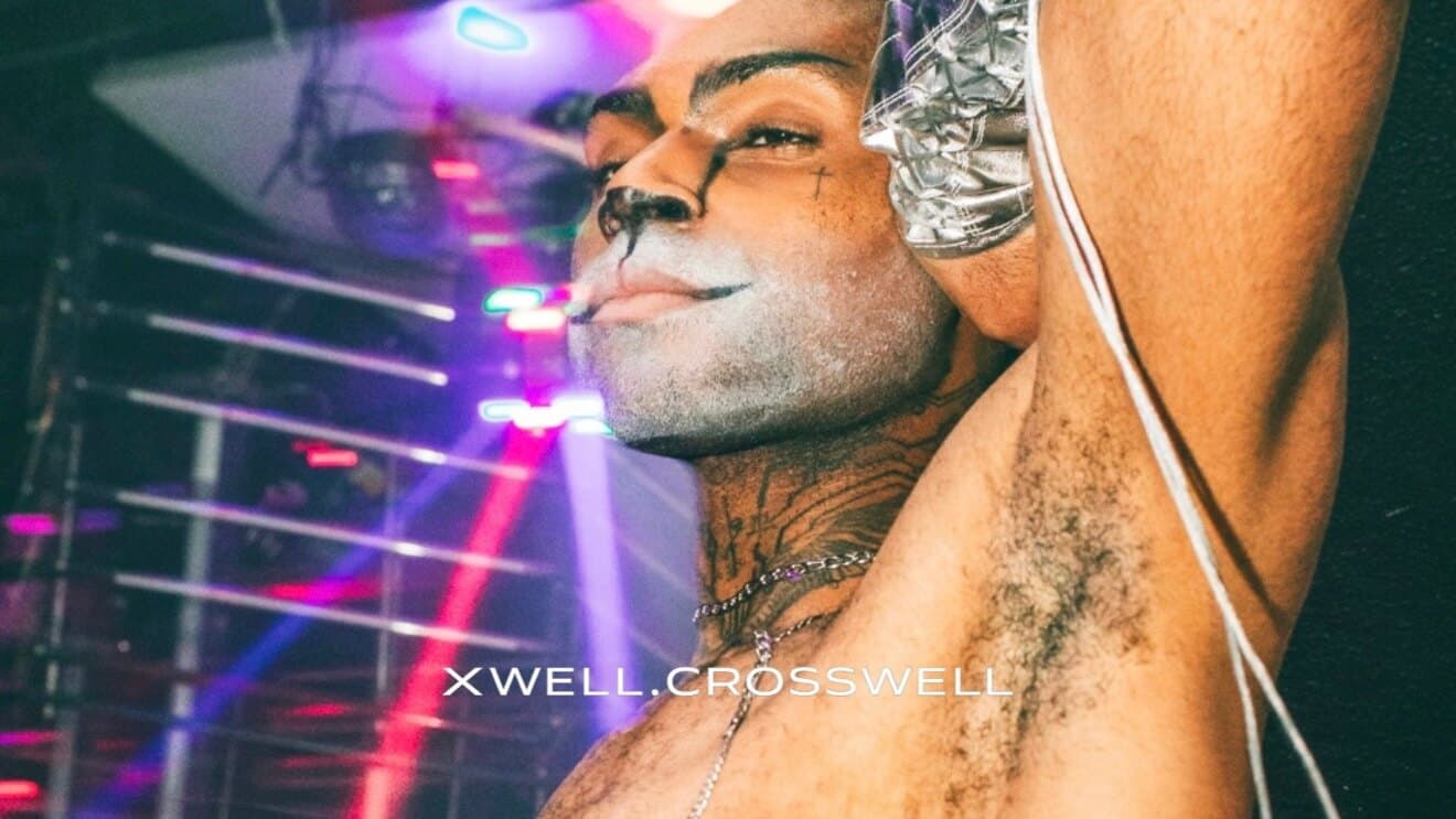 Crosswell banner image