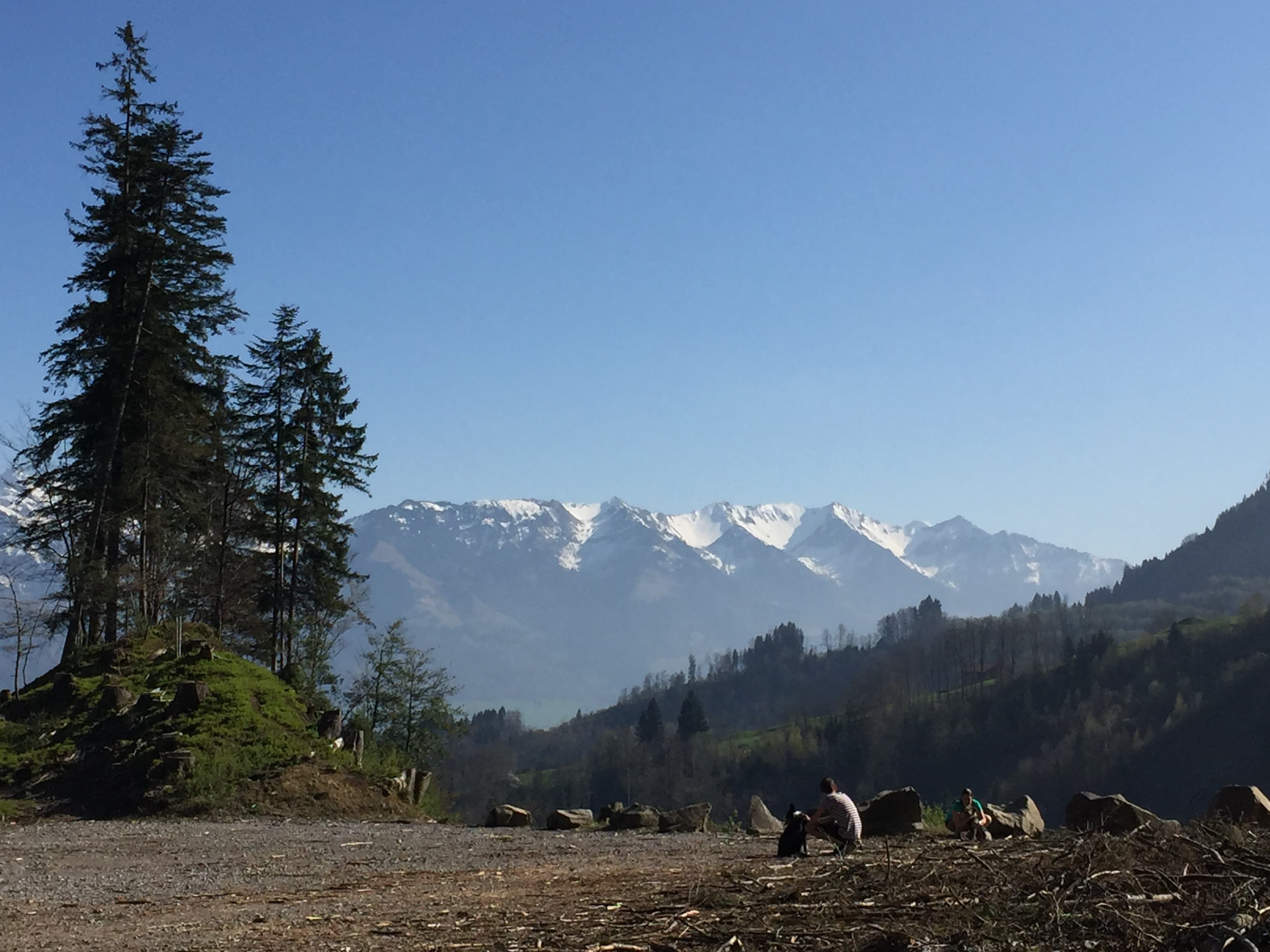 naturiste banner image