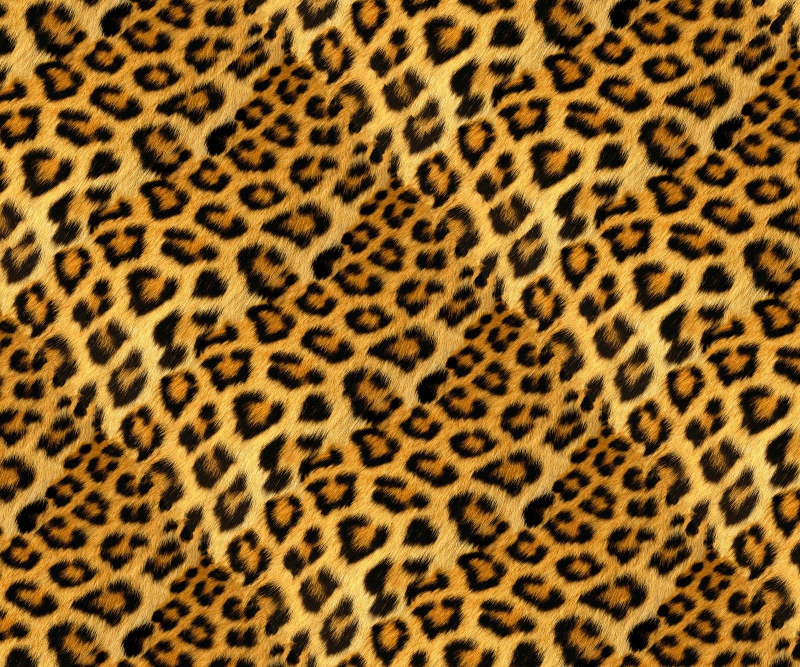 TOMA$ BLGN banner image