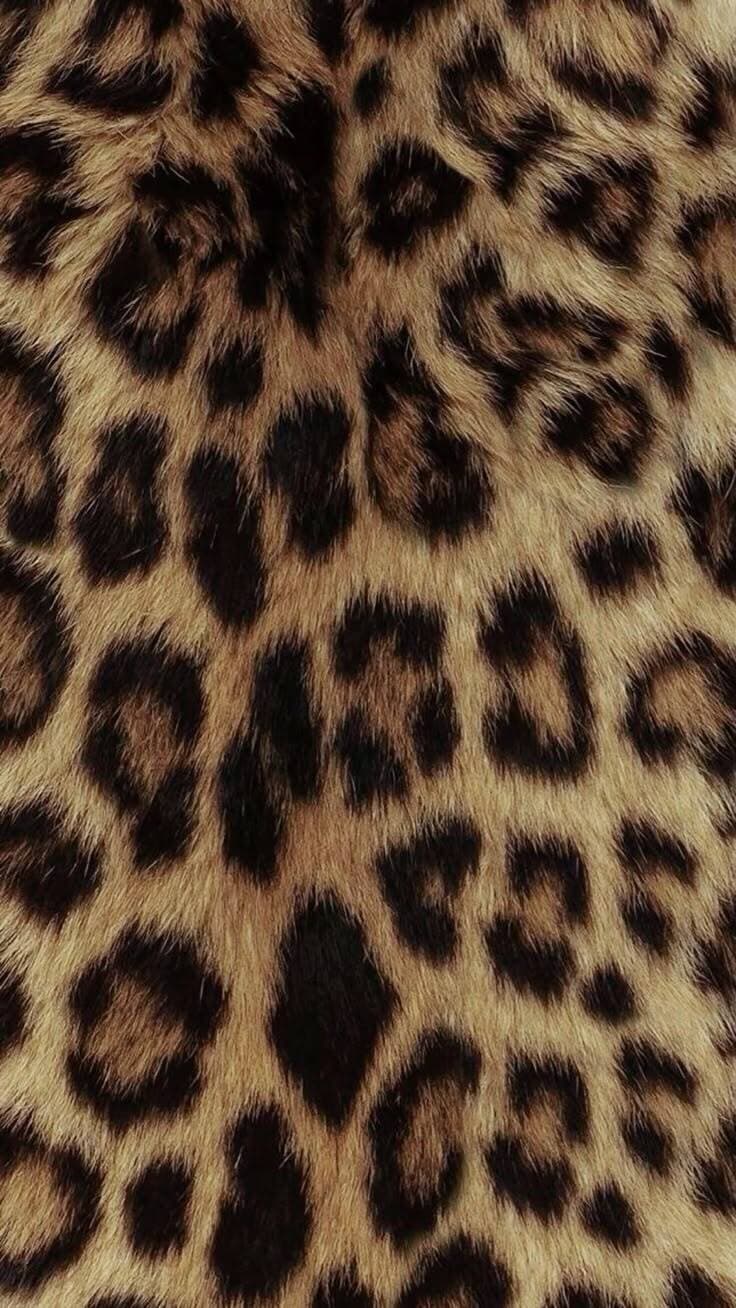 ᒐᥲ ᥒᥱᥒᥲ ℓσνᥱ₊˚⊹ banner image
