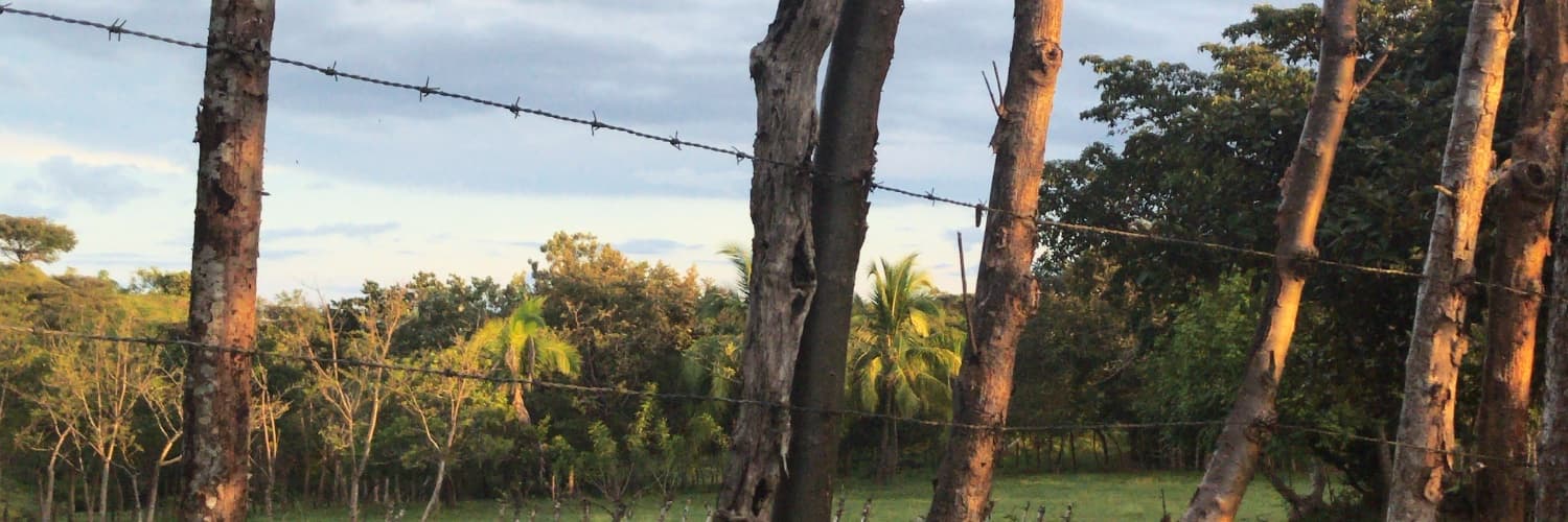 Arleeene banner image