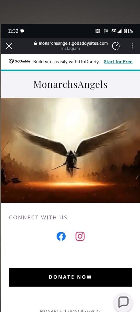 Monarchs Angels banner image