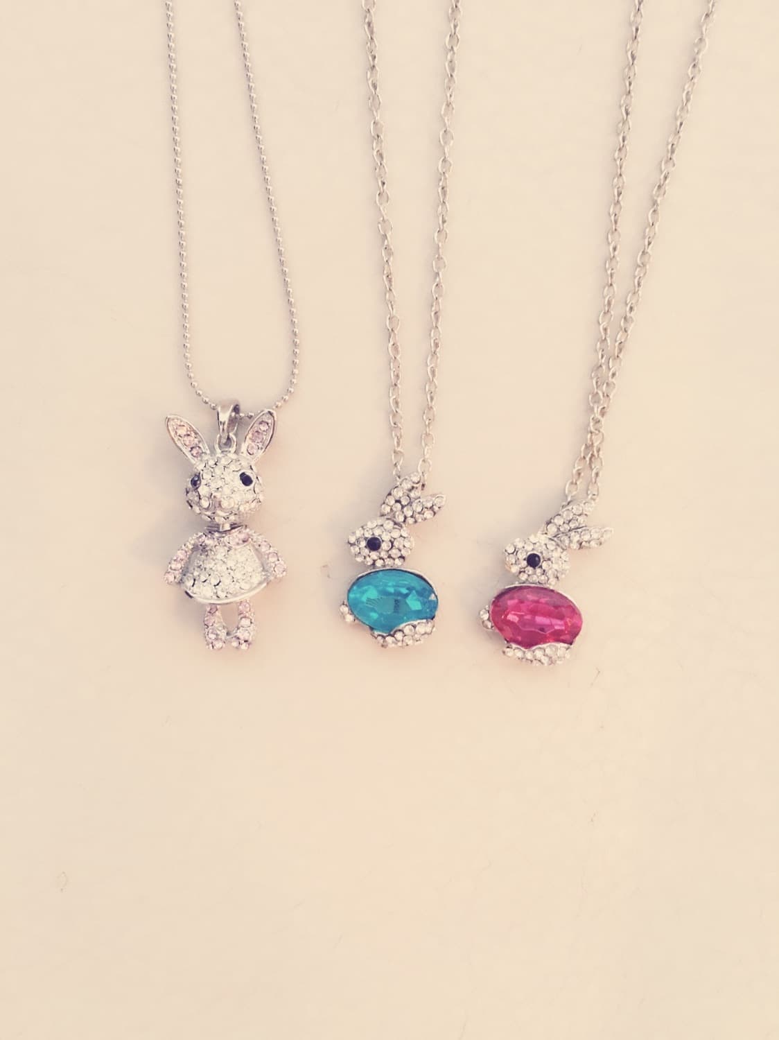 Bella Bunny banner image