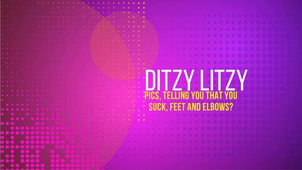 Ditzy Litzy banner image