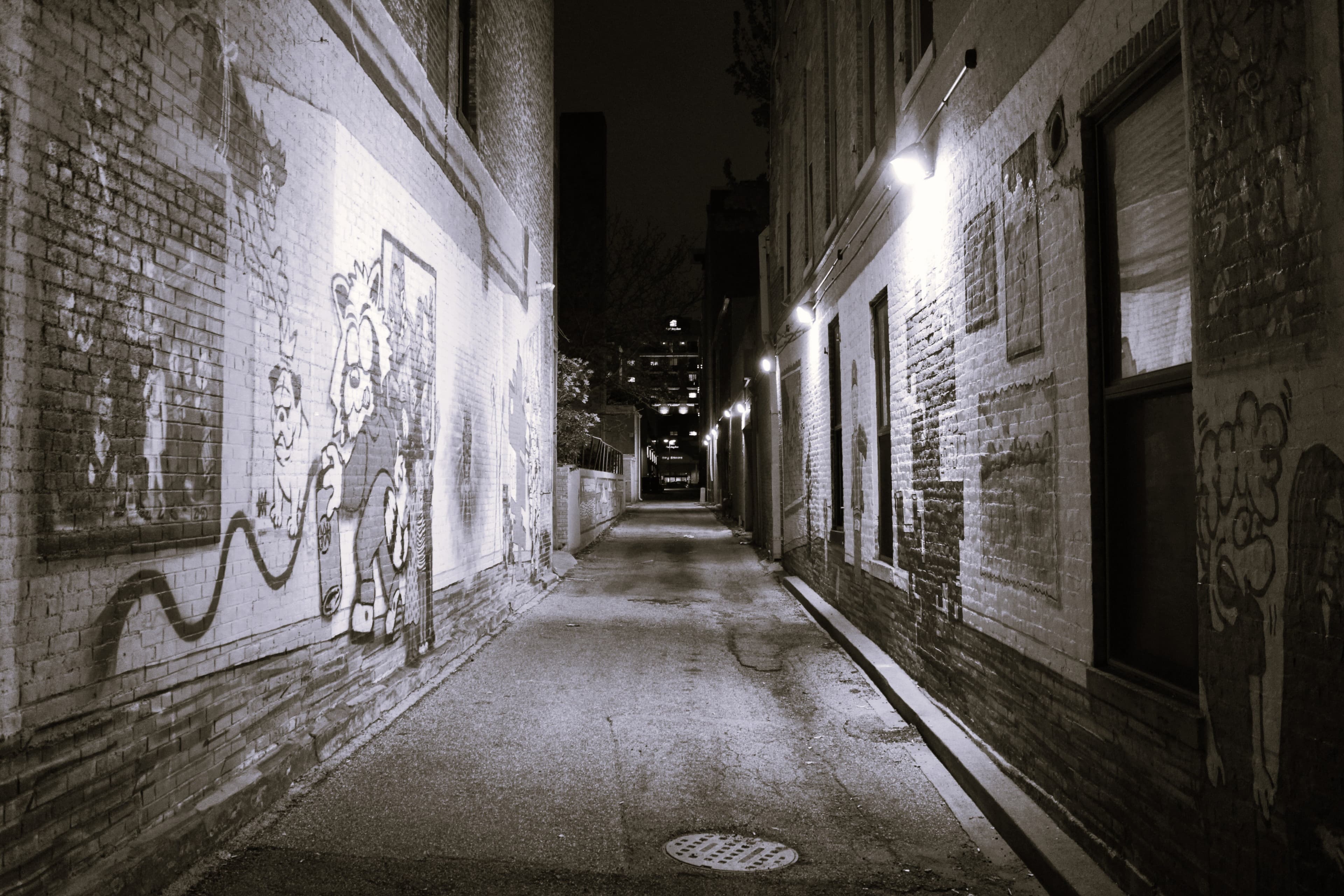 xxx banner image