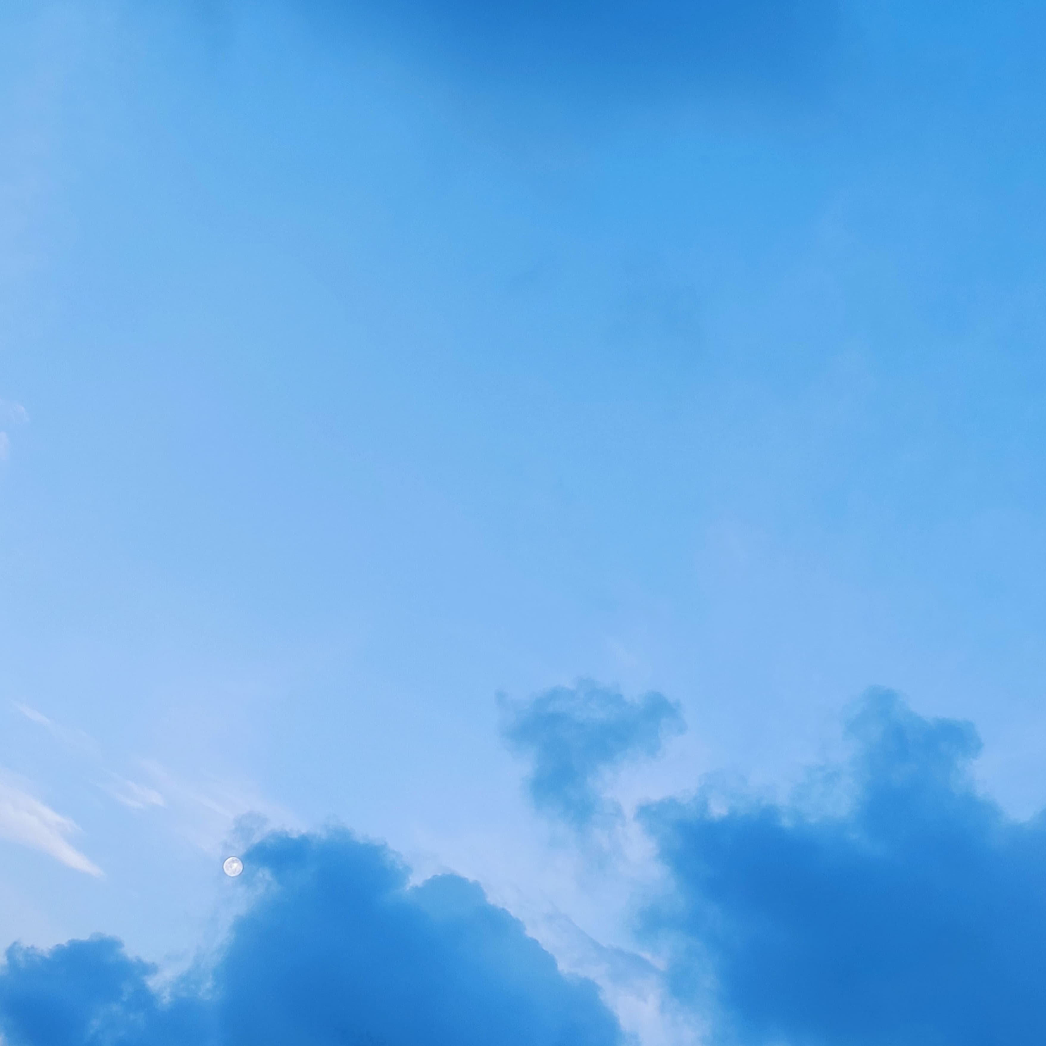 ddooddly banner image