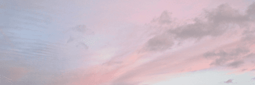 Ellz banner image