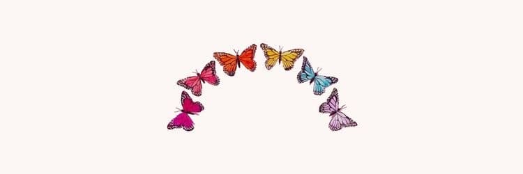 Mariposa banner image