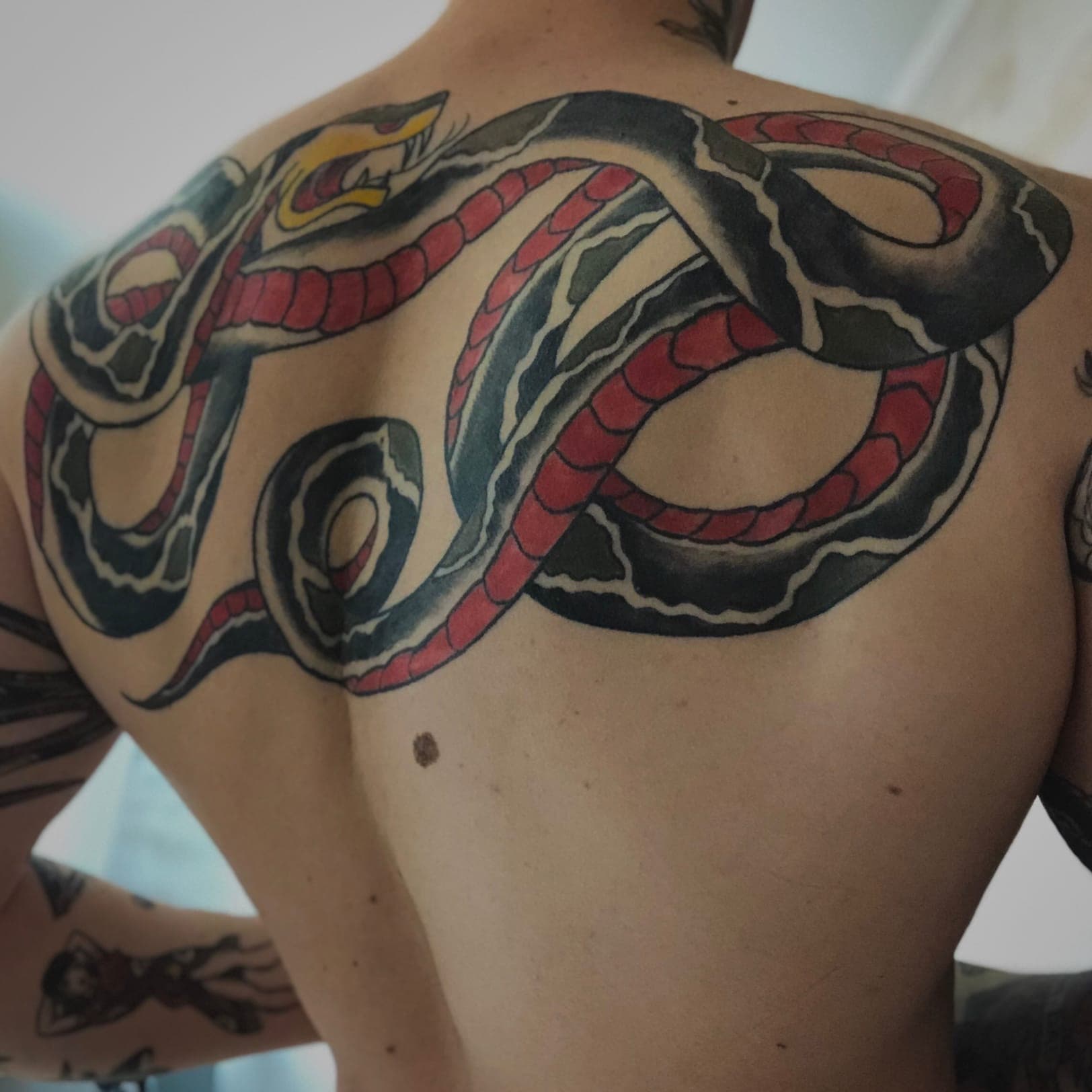 Alex banner image