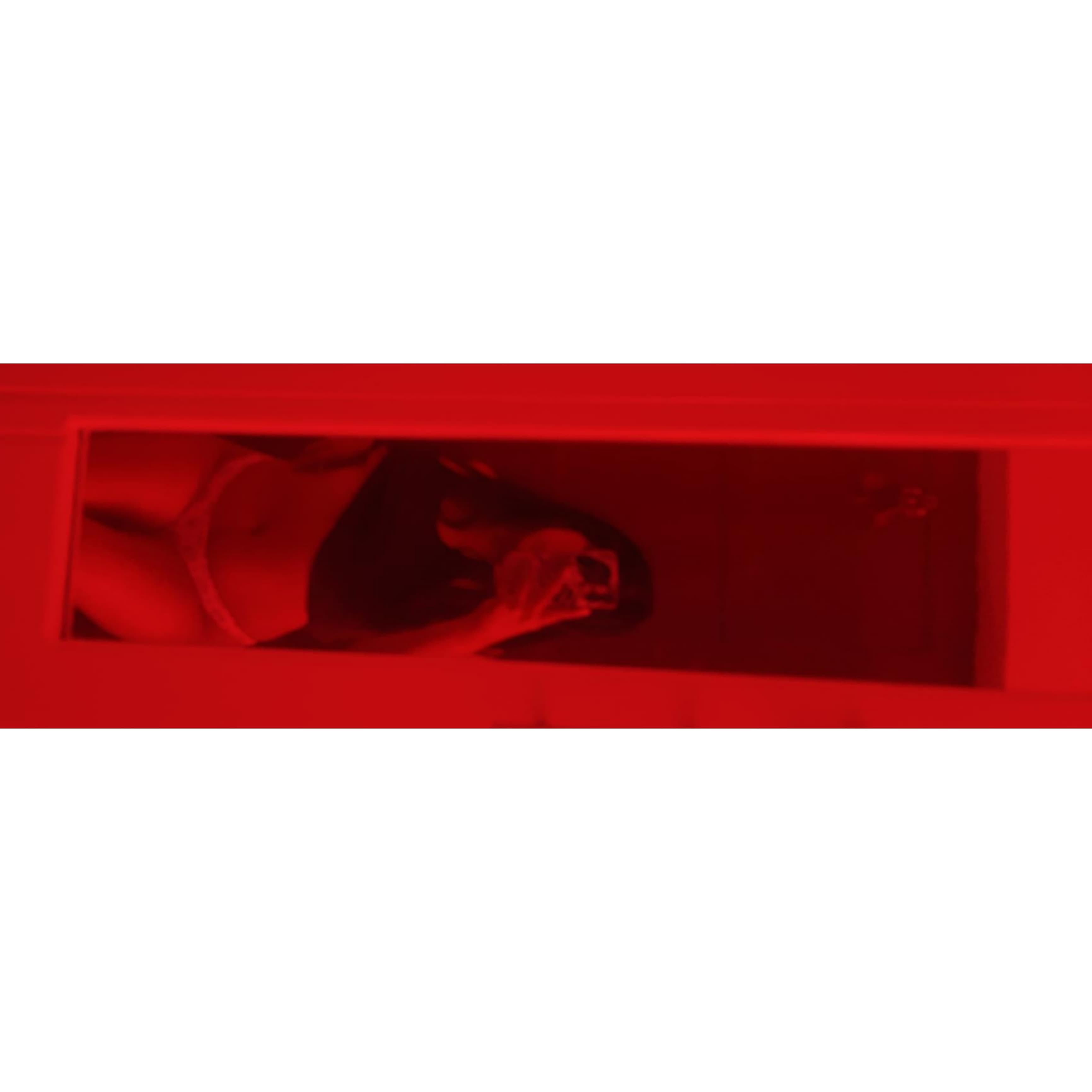 Natali michelle banner image