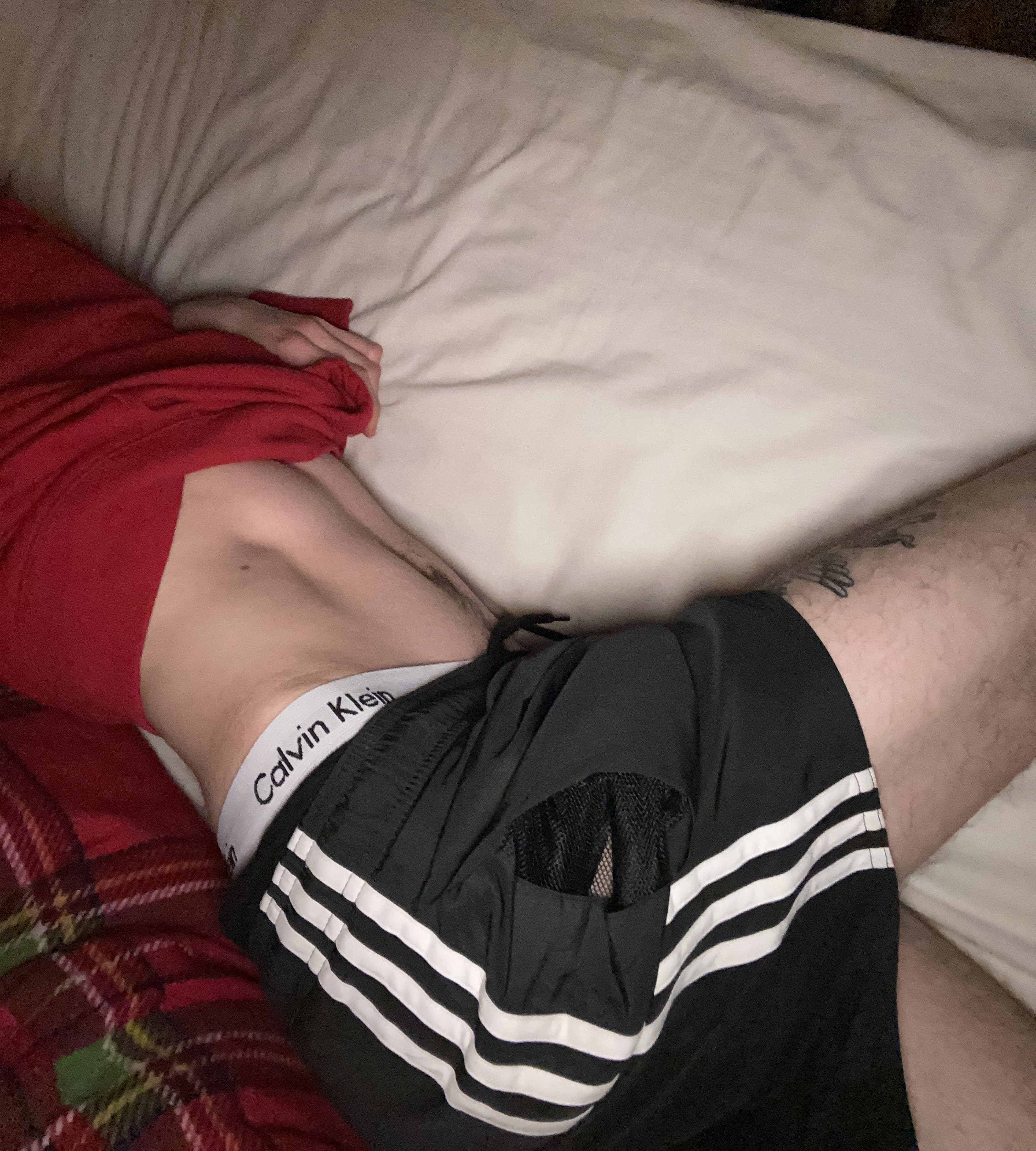 Alex banner image