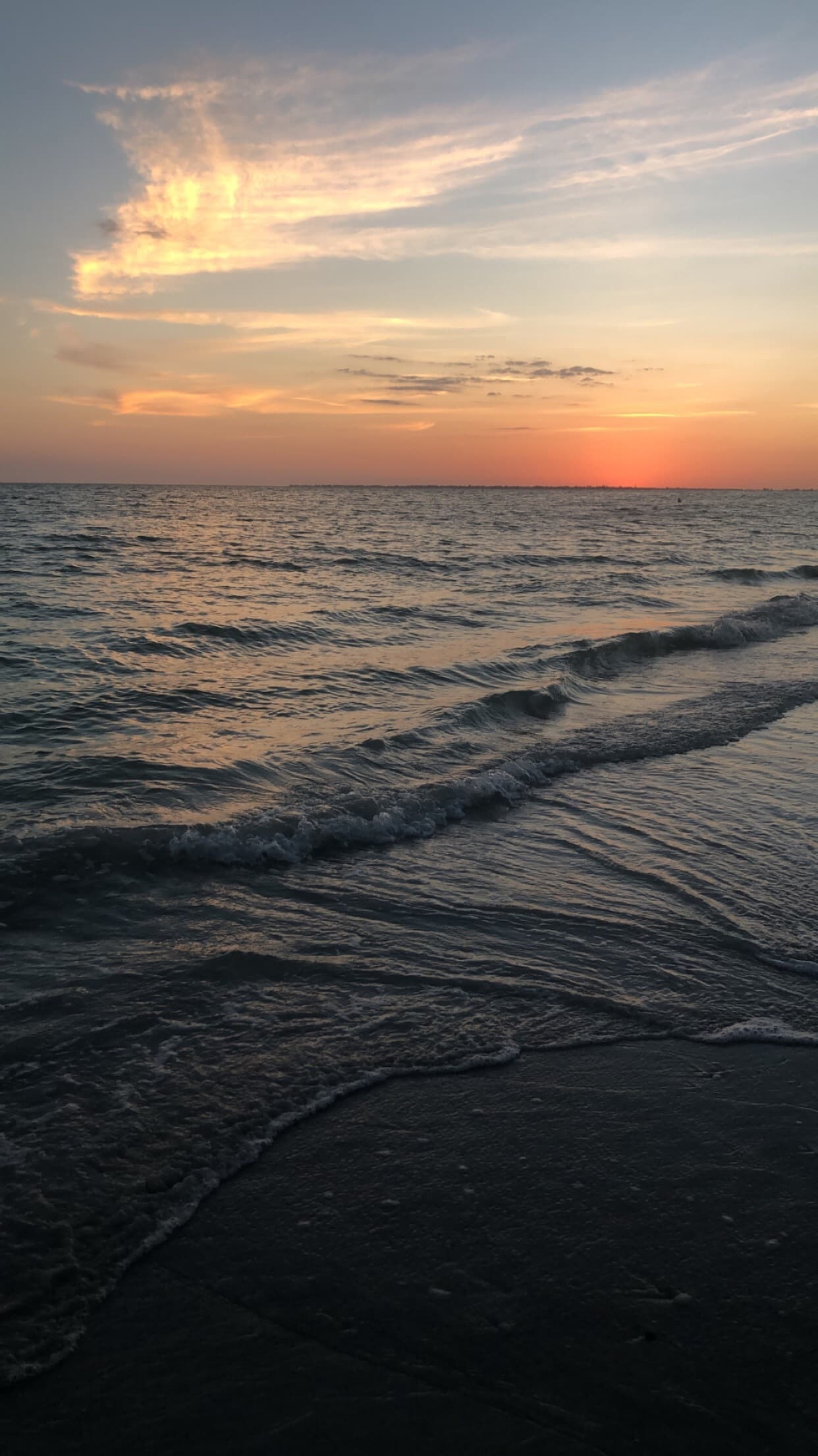 Gracie banner image