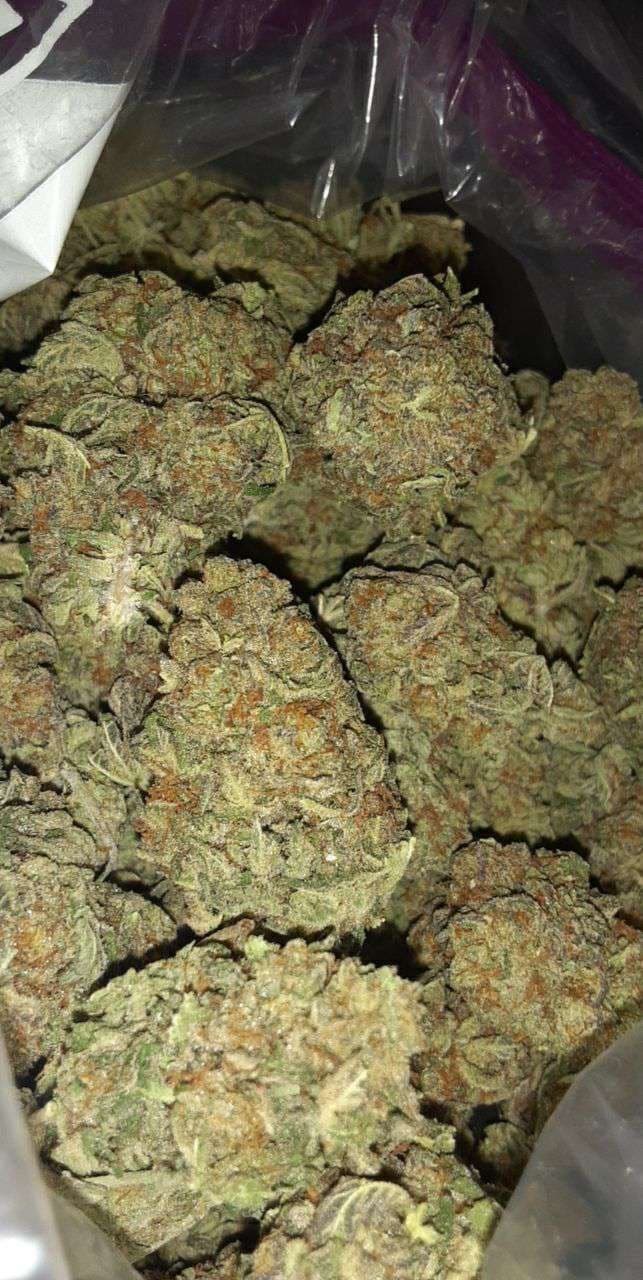 Gracie Bluntz banner image