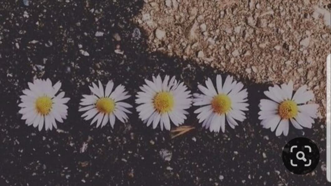 BendOverBecky 🔥 banner image