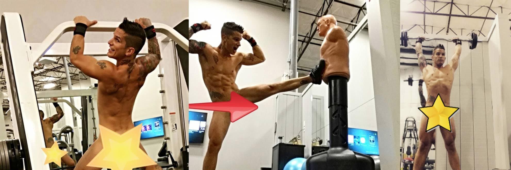 Pierre Fitch banner image