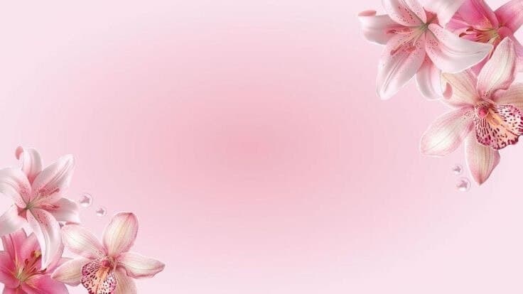 Ava🧚🏽‍♂️ banner image