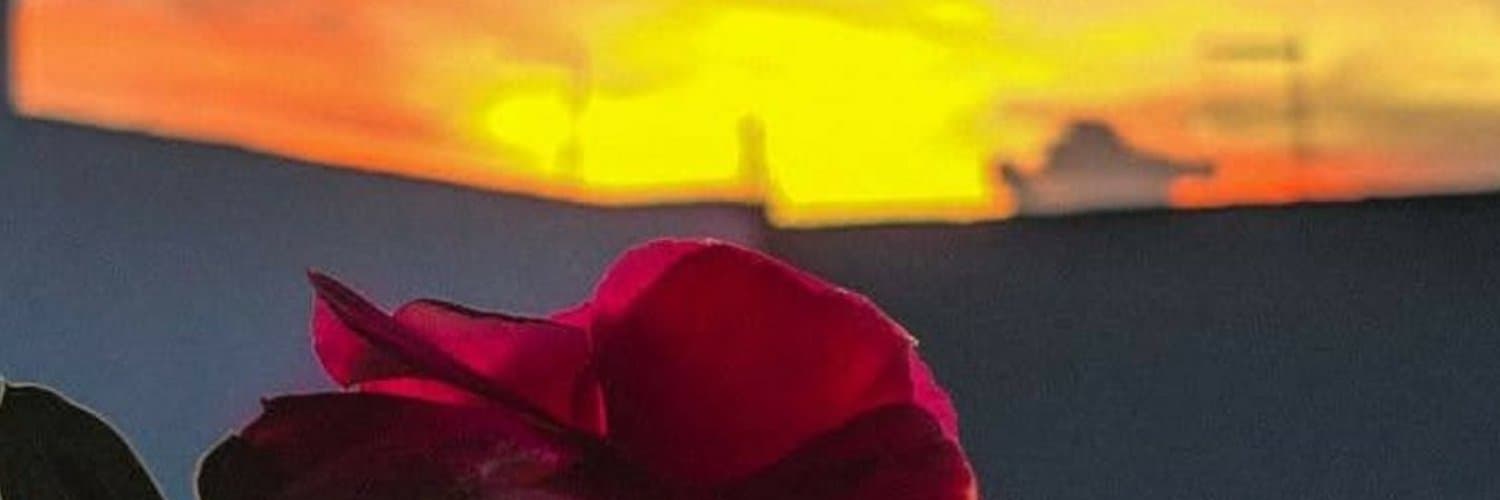 Hilly banner image