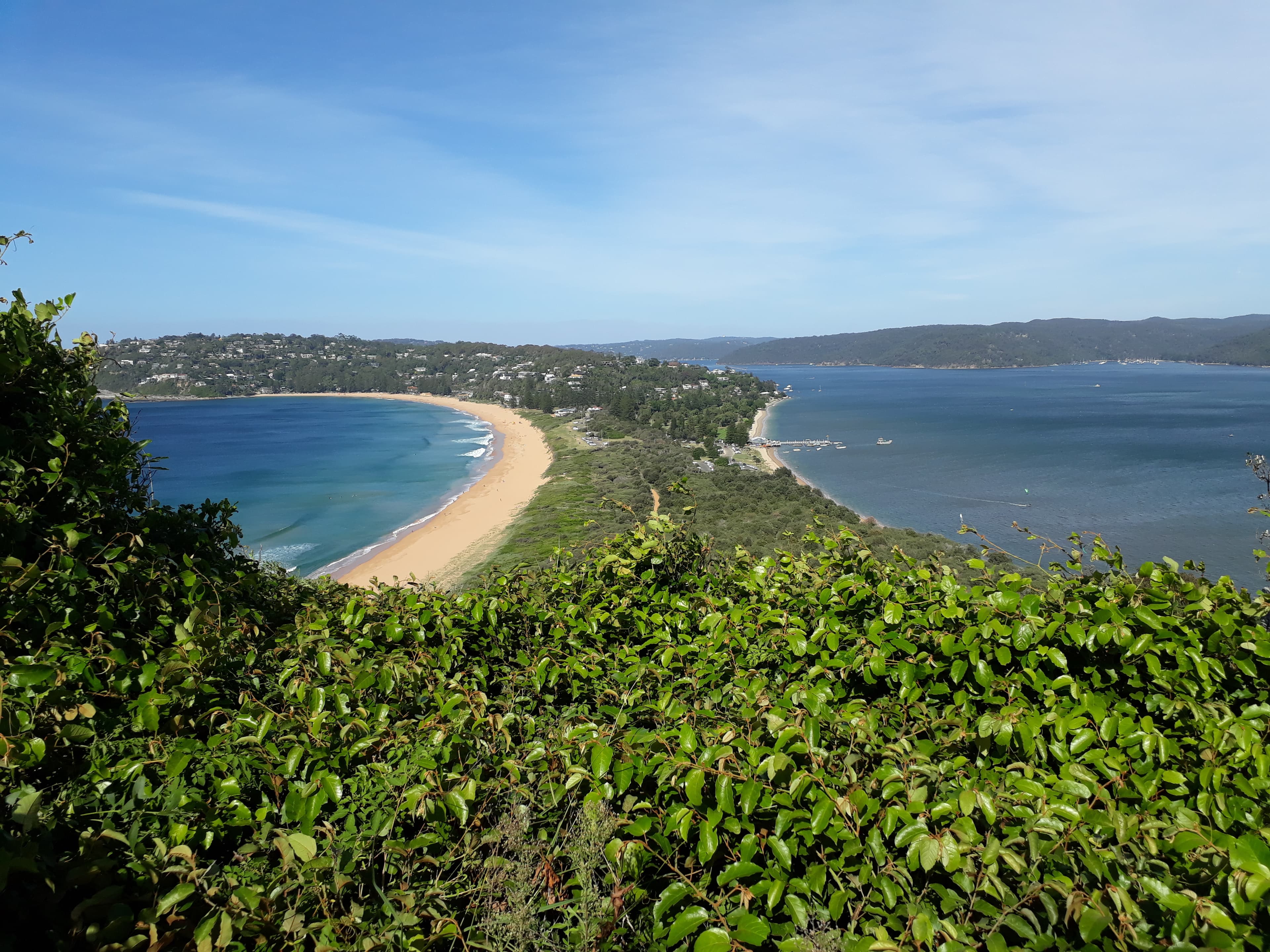 Oli banner image