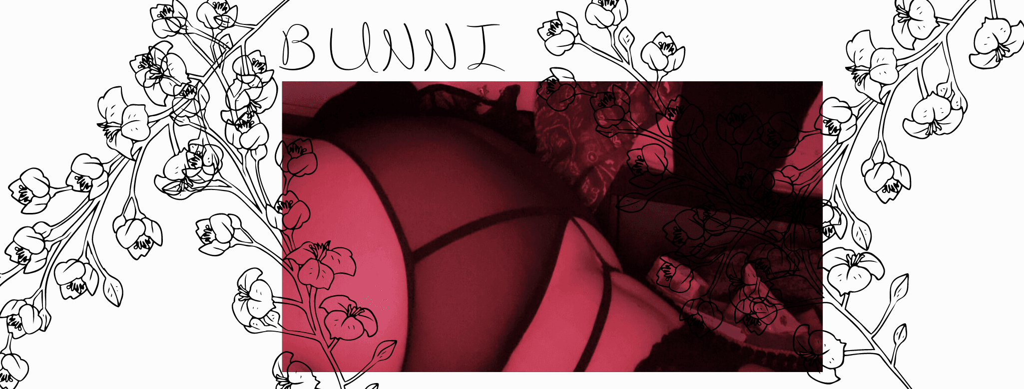 bunni🖤 banner image