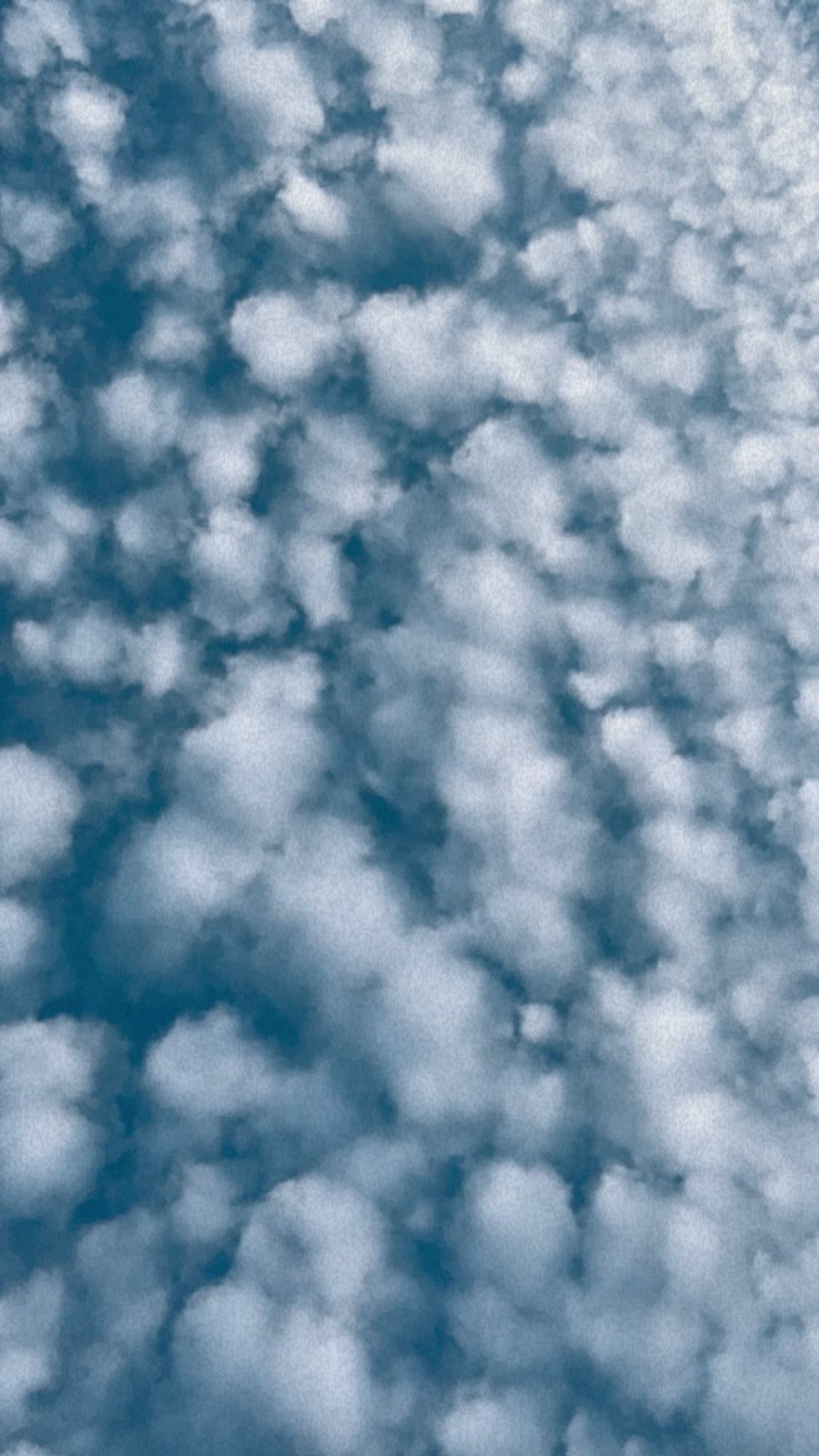 Feet pics banner image