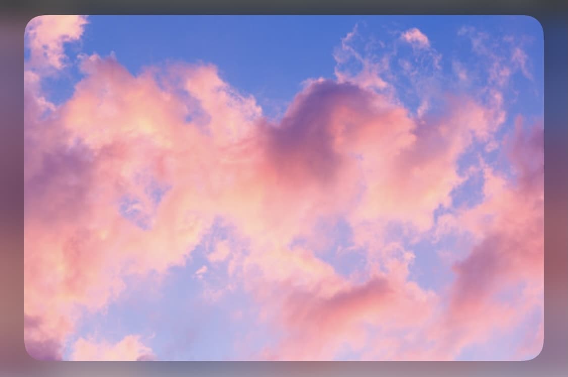 K 🌸 banner image