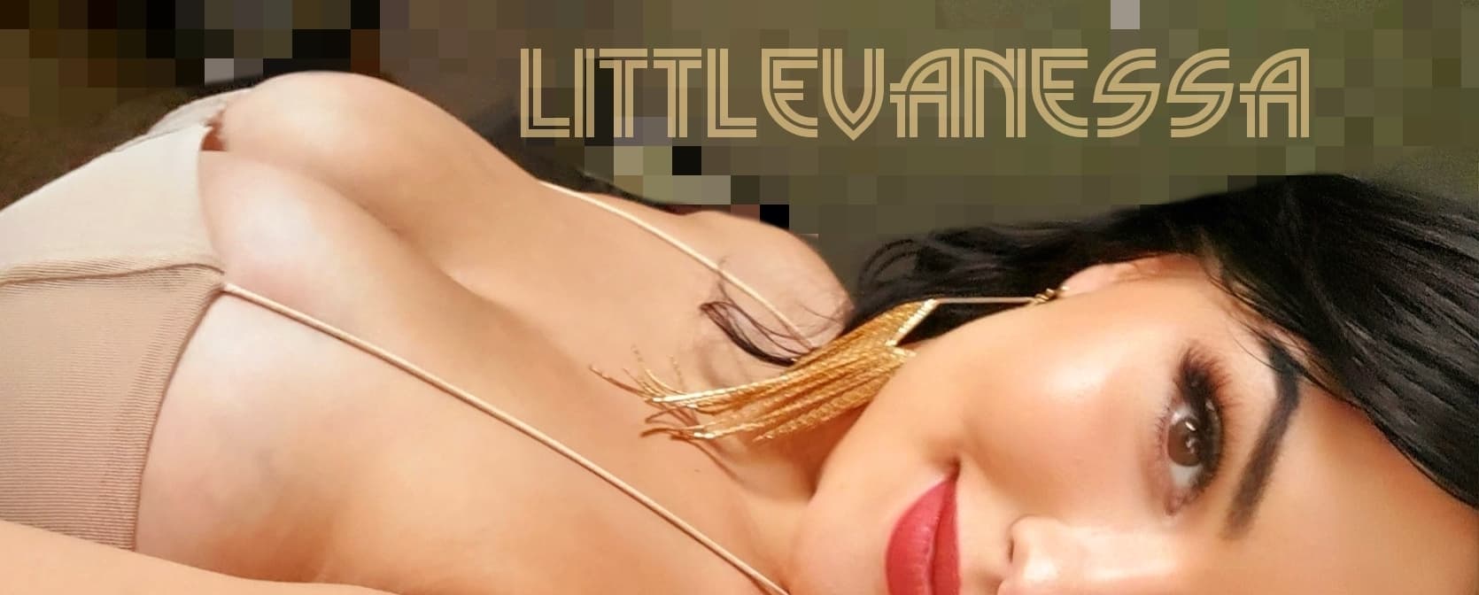 Vanessa banner image