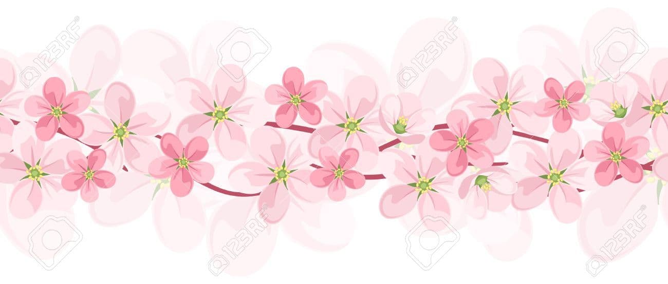 Zahra banner image