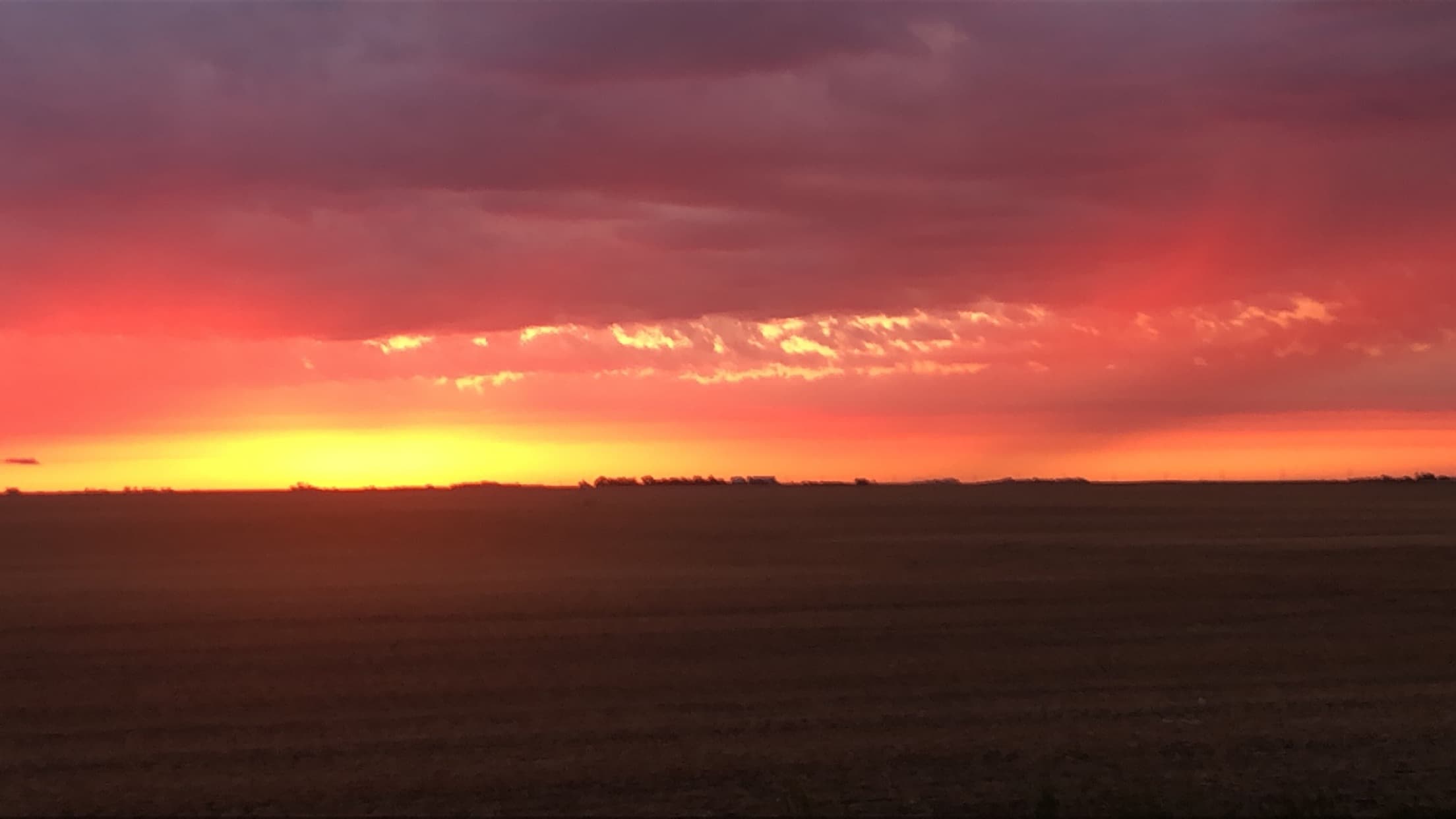 M ❤️ banner image