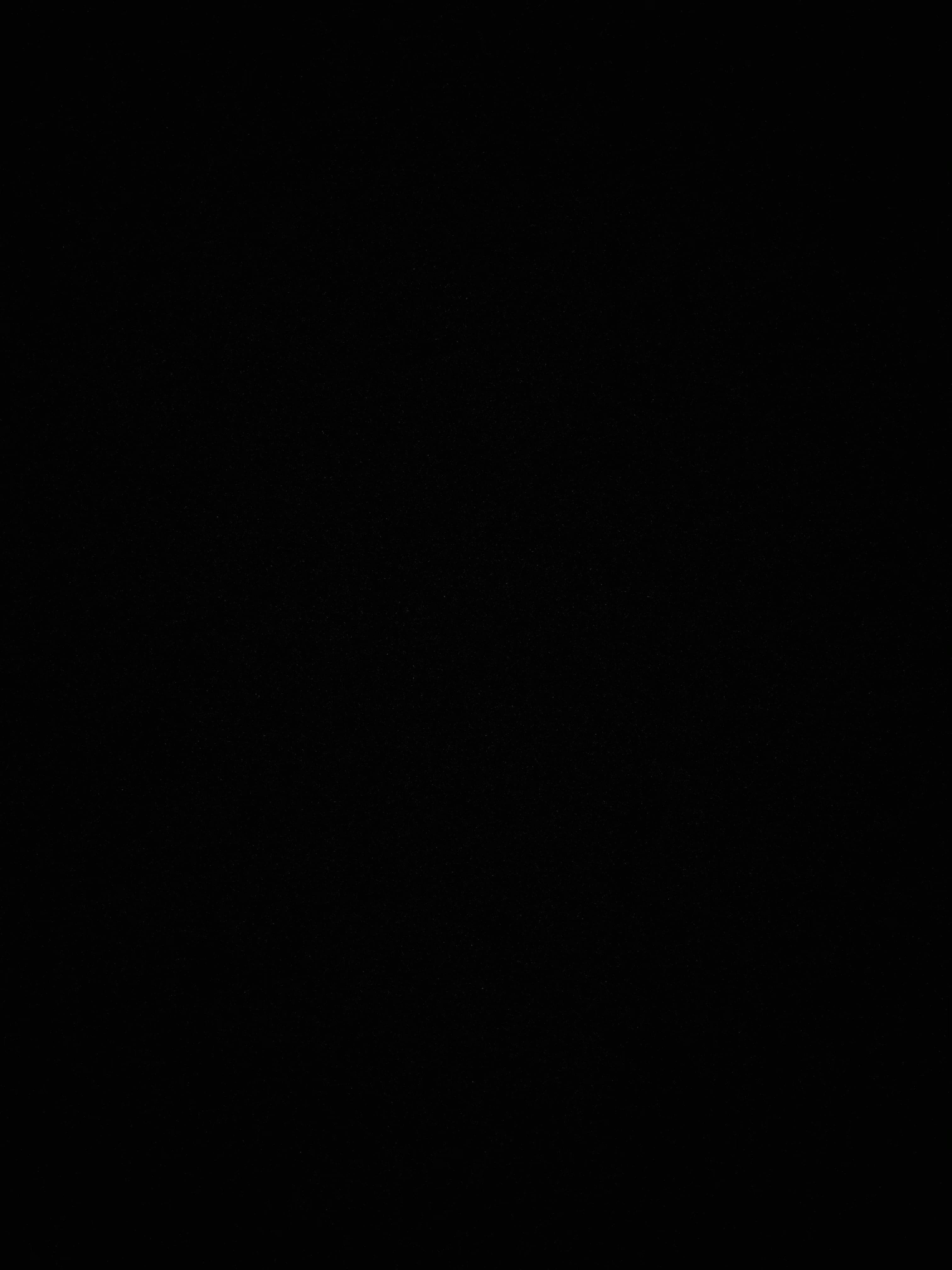 everythingcute banner image