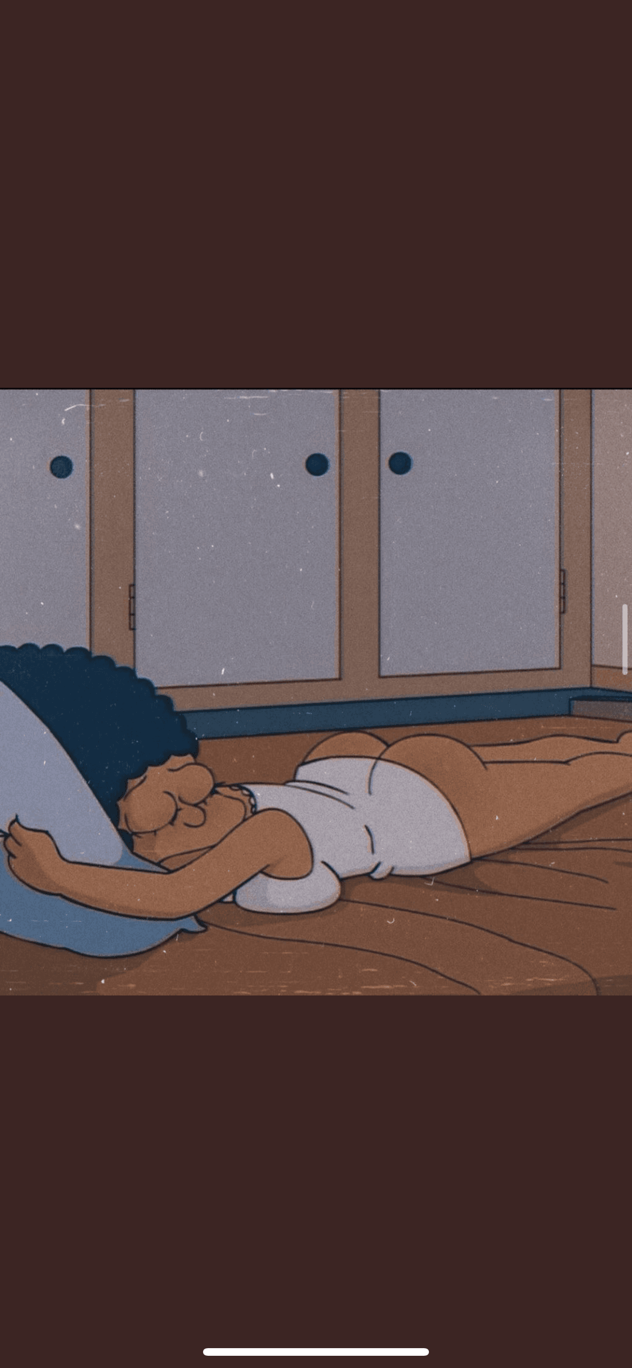 Vidrên banner image