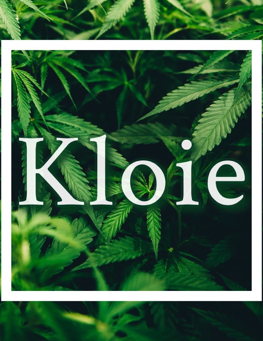 Kloie banner image
