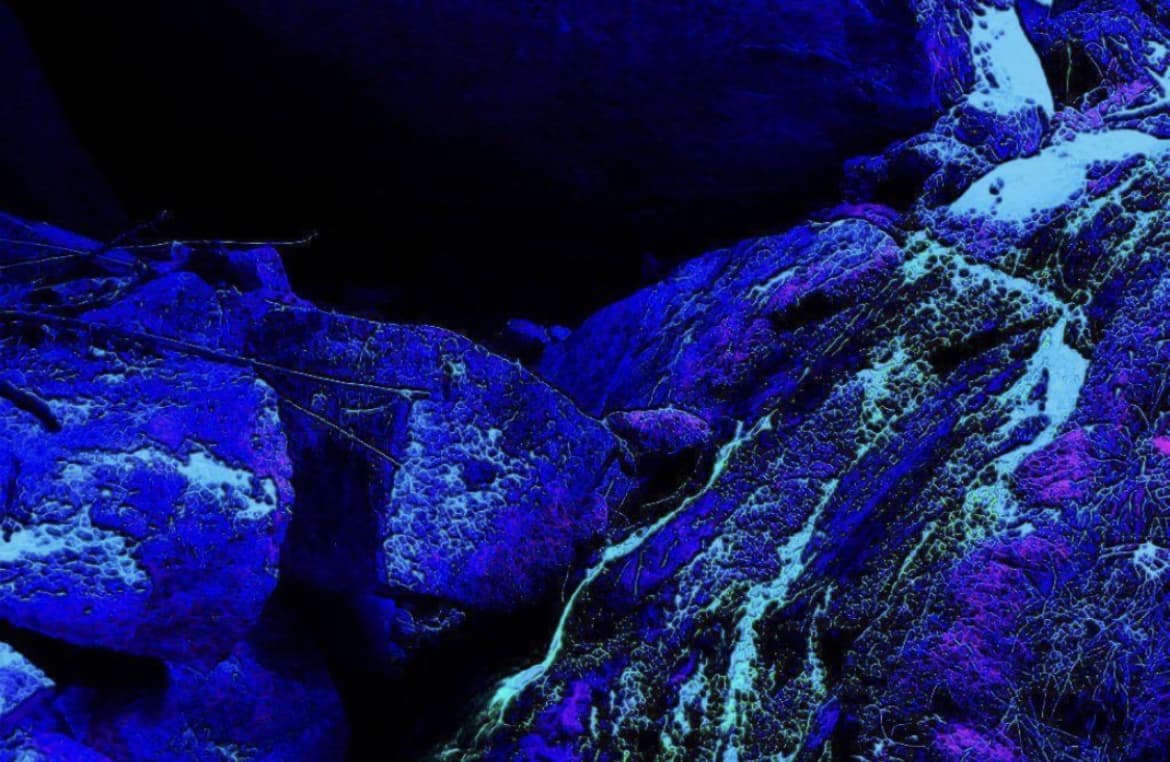 BabyJay banner image
