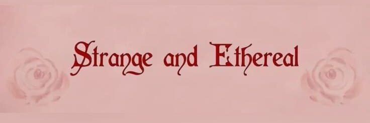𖤐 banner image