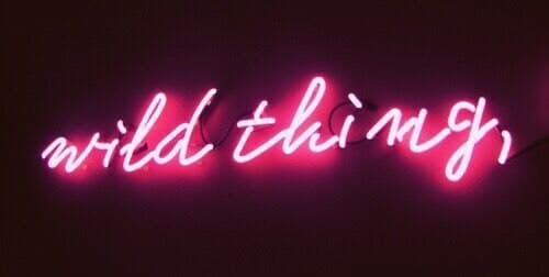 tini banner image