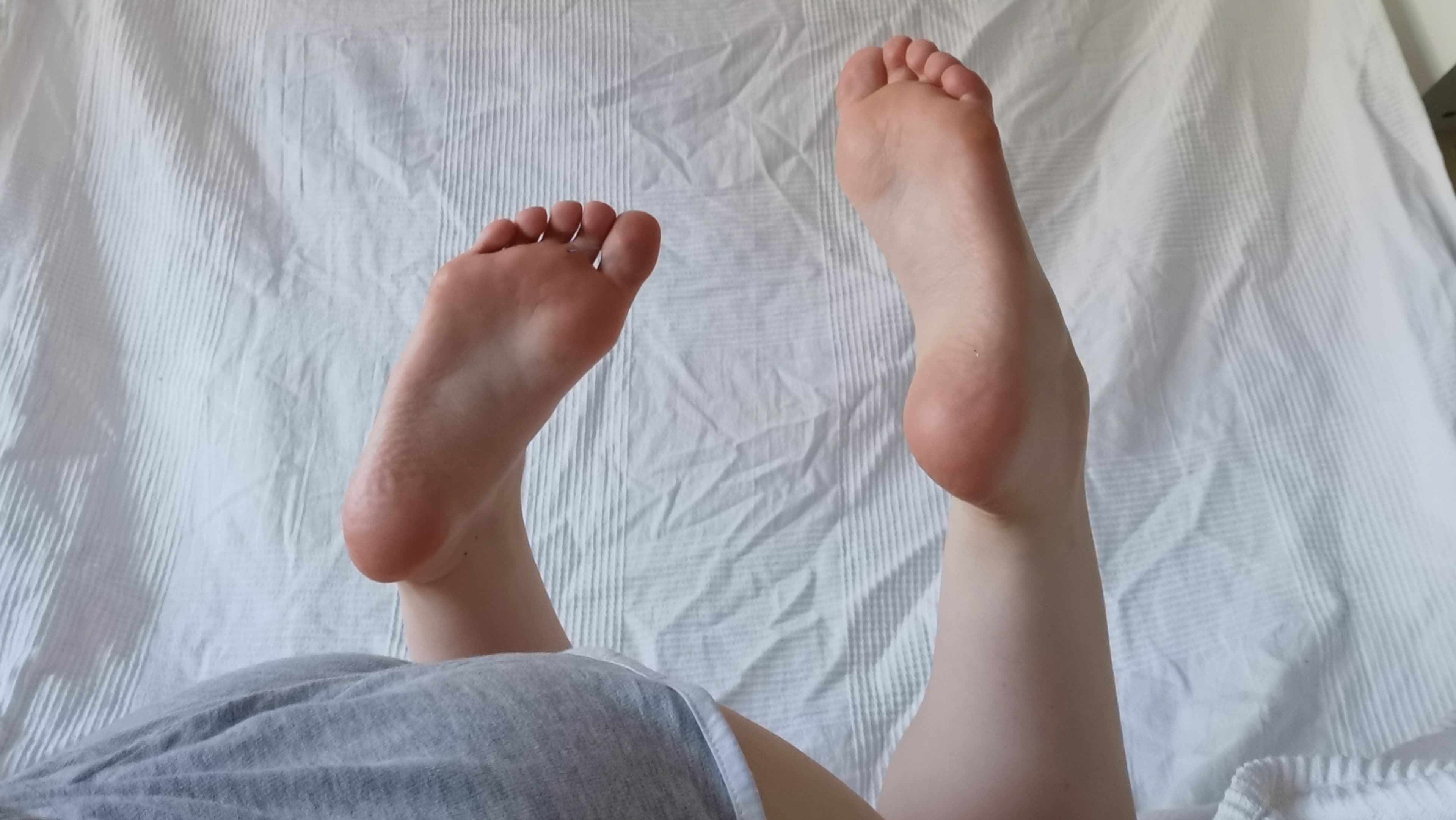 Tootsies for Cutesies banner image
