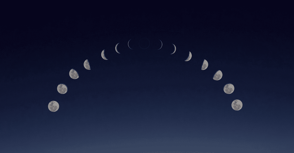 Callie banner image