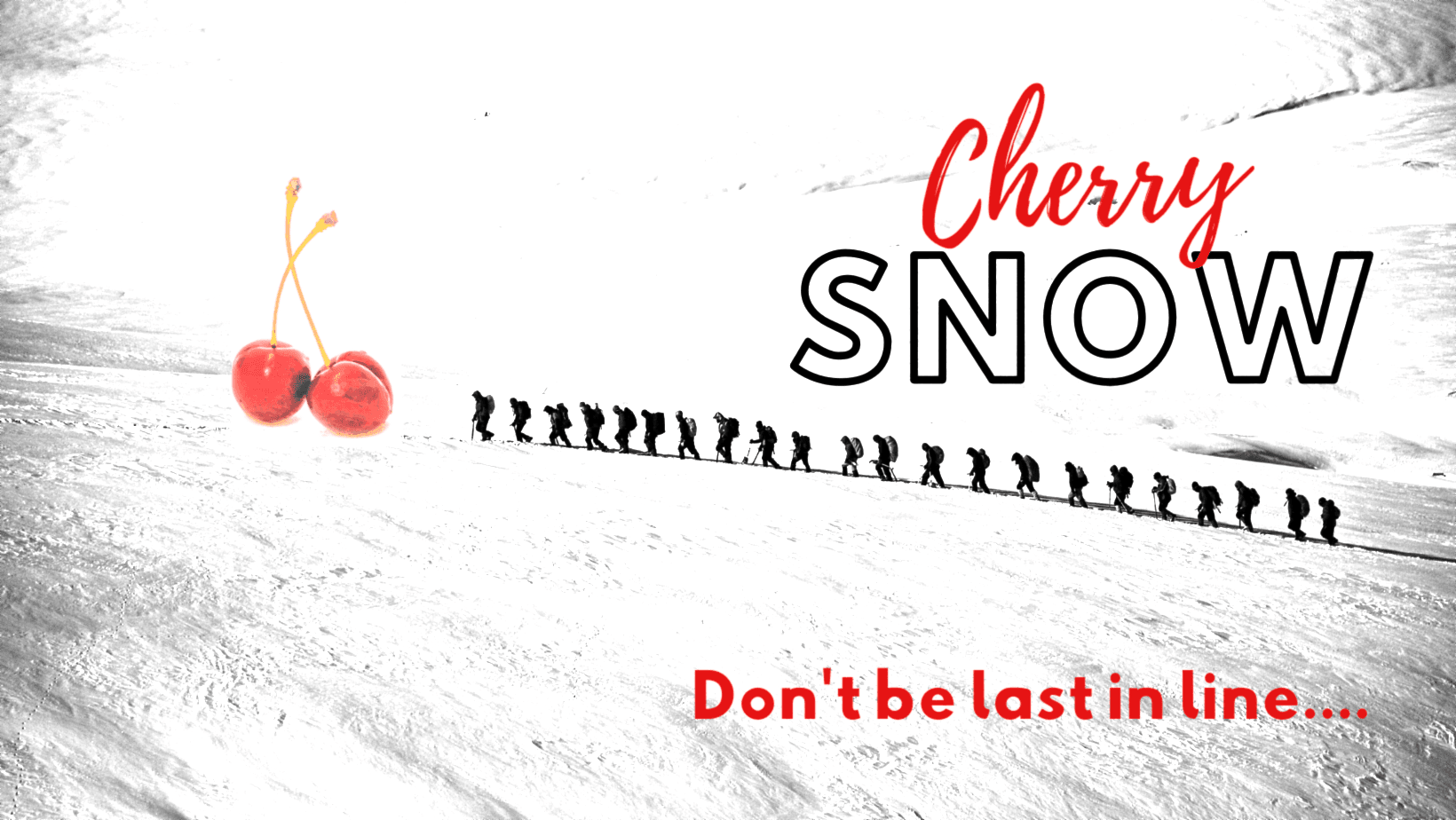 CherrySnow banner image
