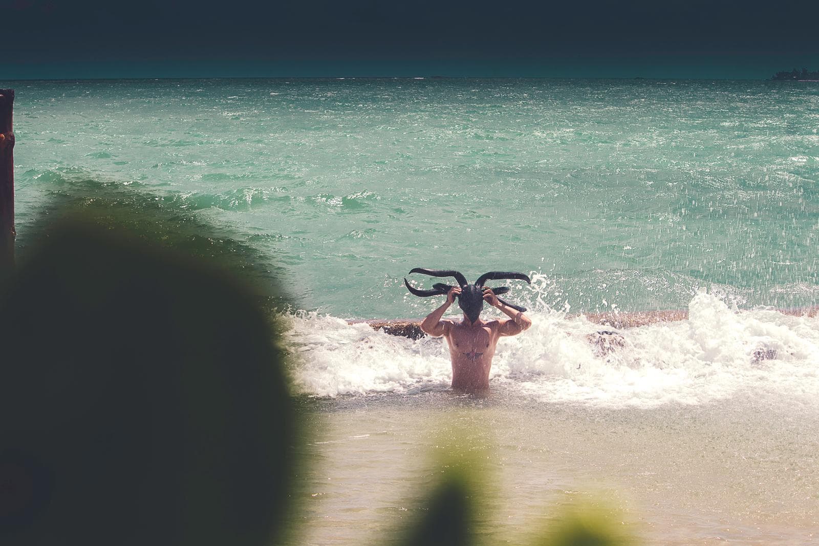 Eryxxx banner image