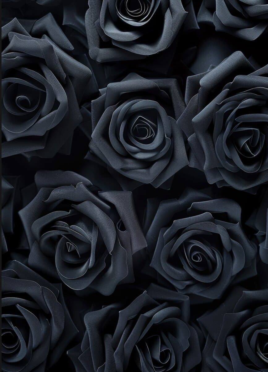 RemyMoon banner image