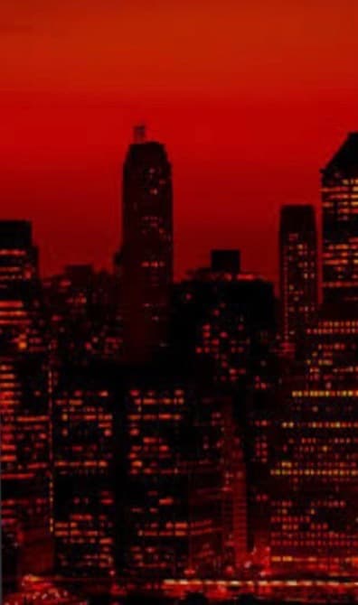 Sara banner image