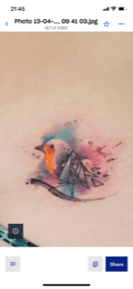 pammie banner image