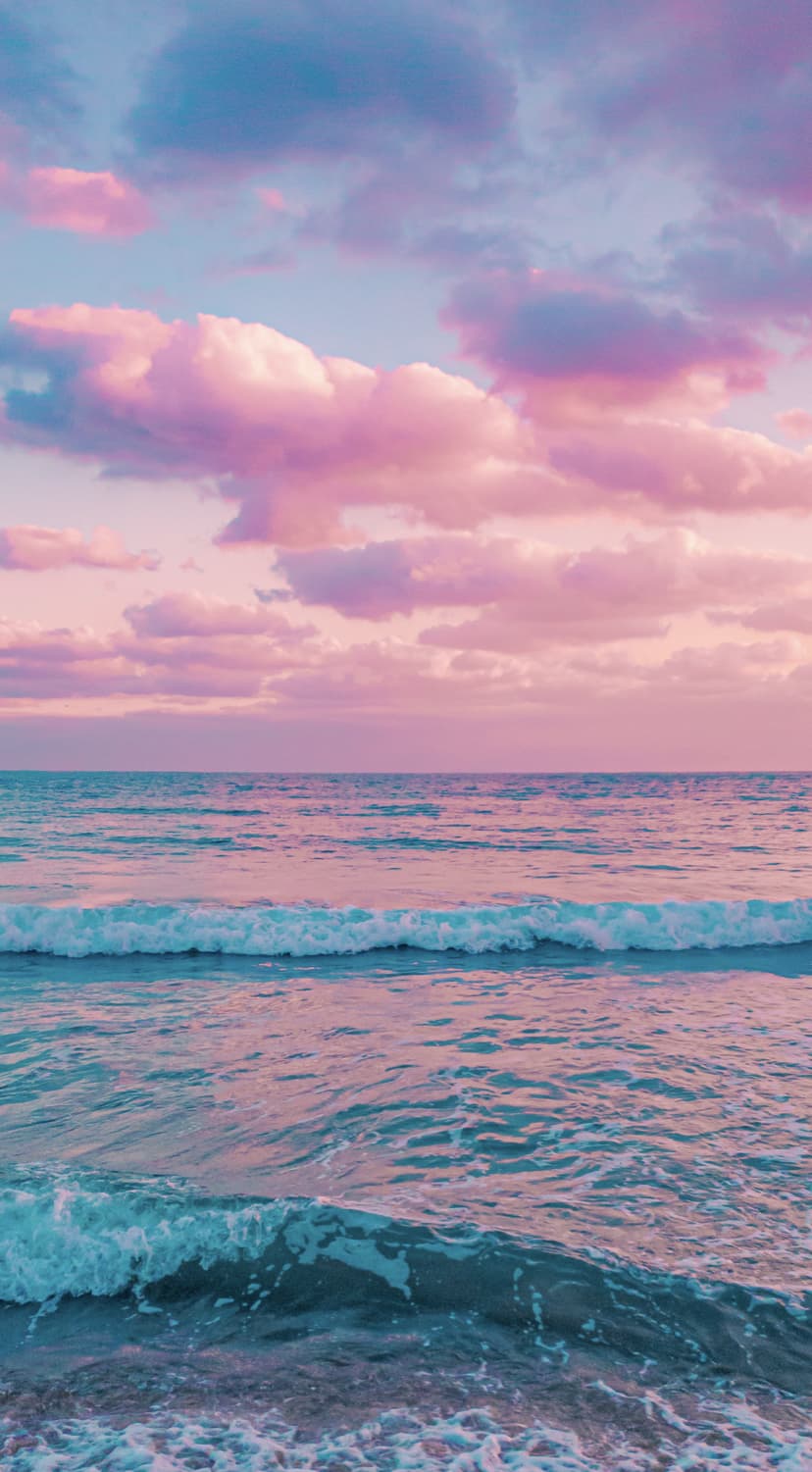 𝑩𝒆𝒍𝒍𝒂✨ banner image