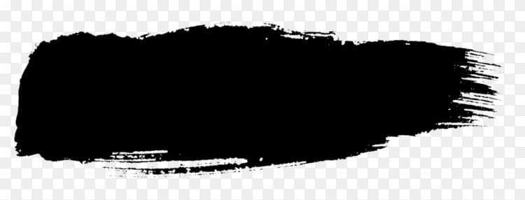 Chien banner image