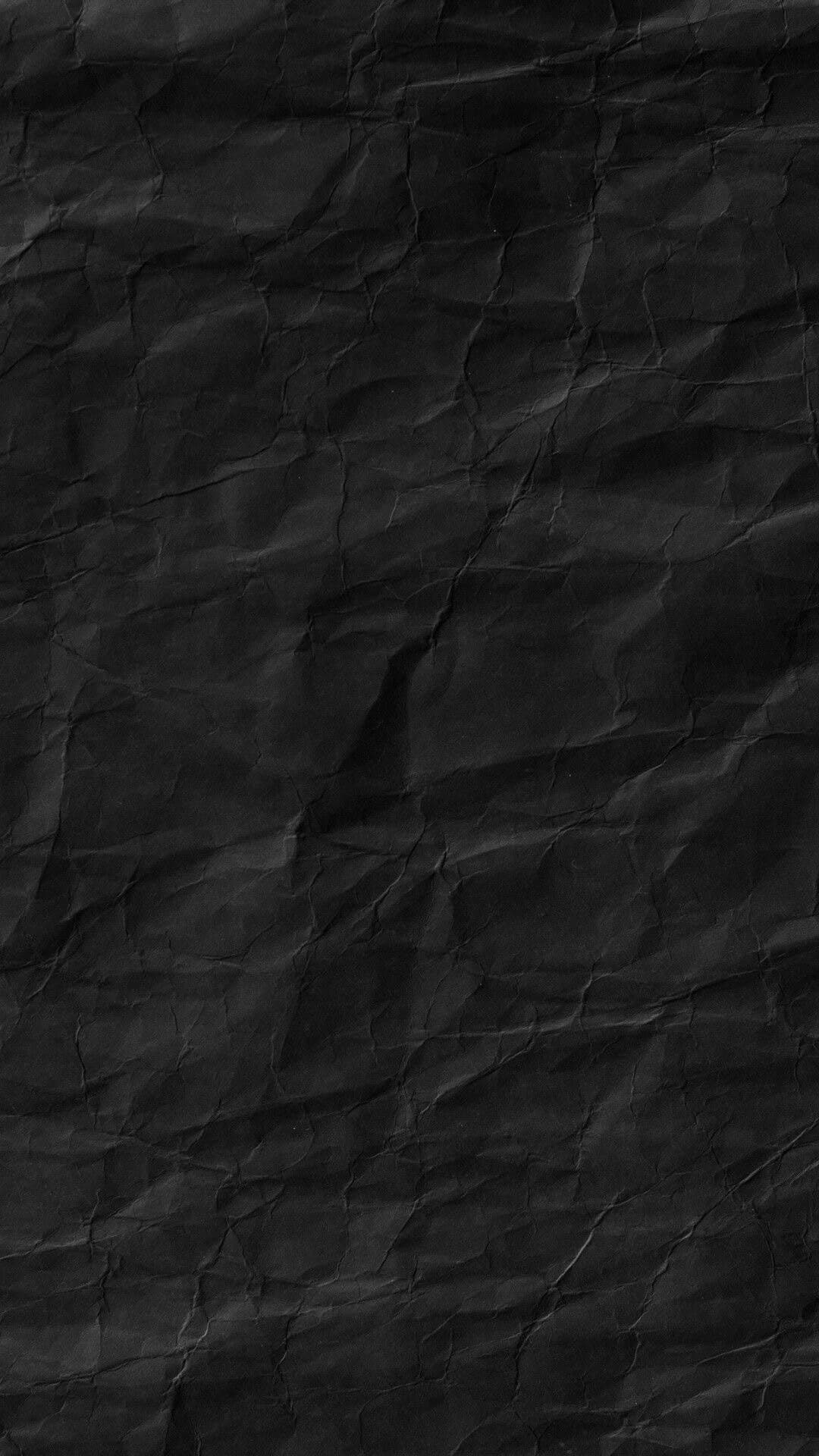 Lola banner image
