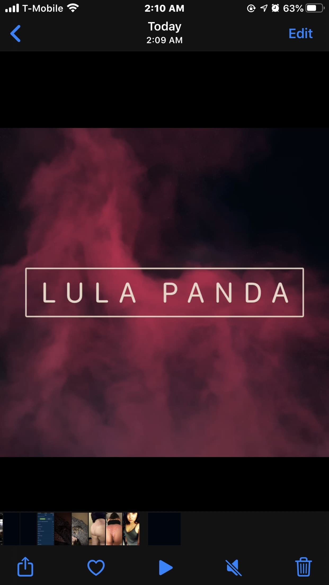 Lula Panda banner image