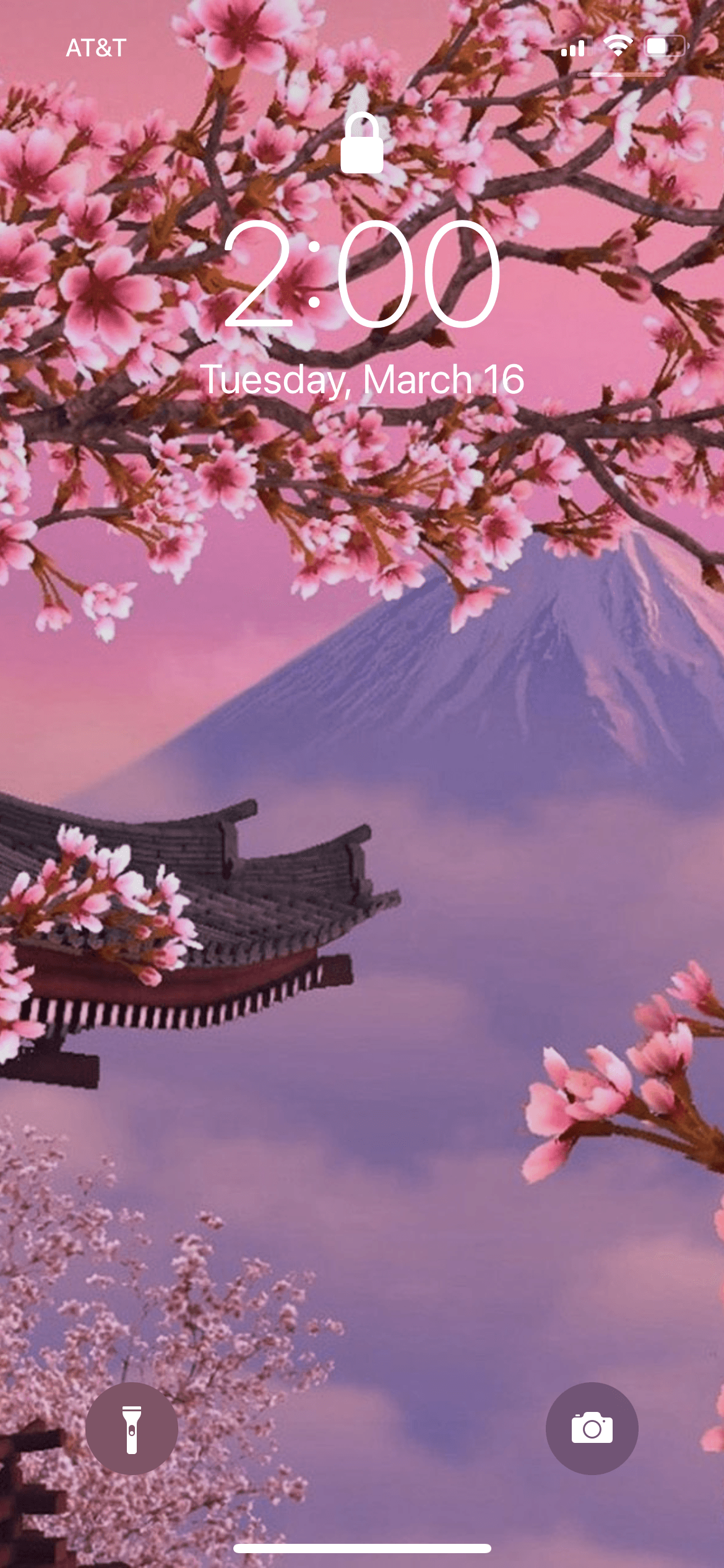 Star banner image