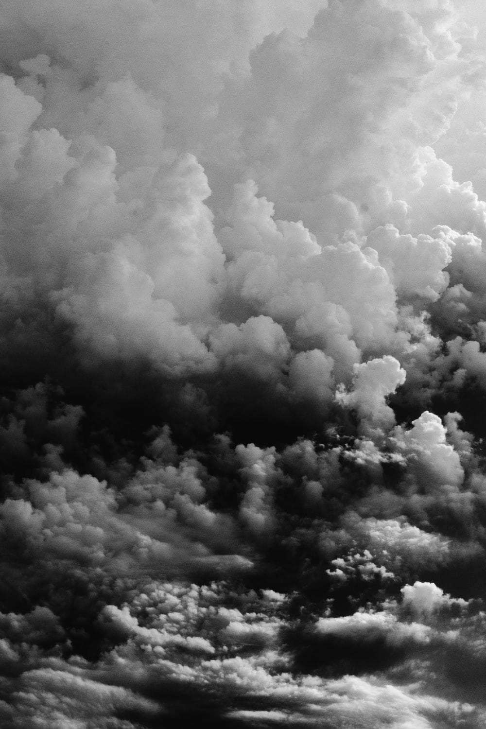 LAIDY LAIXX banner image